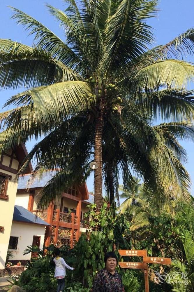 Hainan Bulongsai Resort Hotel Baoting Eksteriør bilde