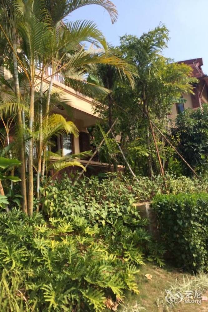Hainan Bulongsai Resort Hotel Baoting Eksteriør bilde